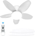 Ventilator mit Fernbedienung für Haushalt und Alltag