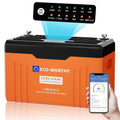 Produkt 12 V 314Ah mit Display
