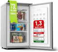 Gefrierschrank R600A 73L mit 4-Sterne-Gefrierfach Silber